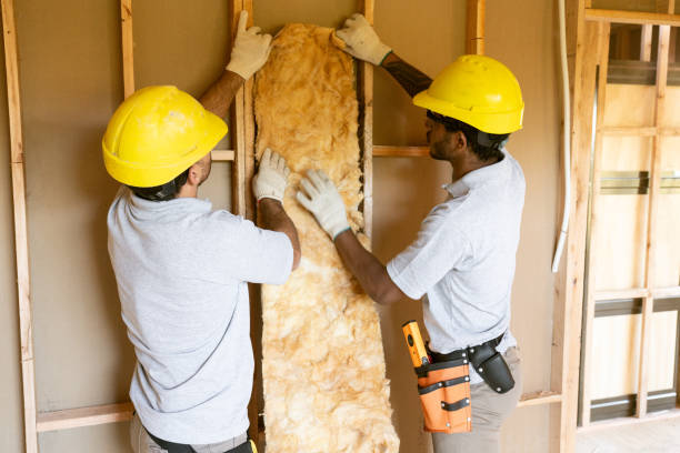 Best Attic Insulation Installation  in Pleasanton, CA